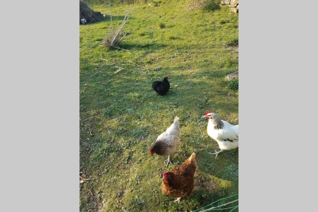Sejour A La Campagne Apartman Placy Kültér fotó